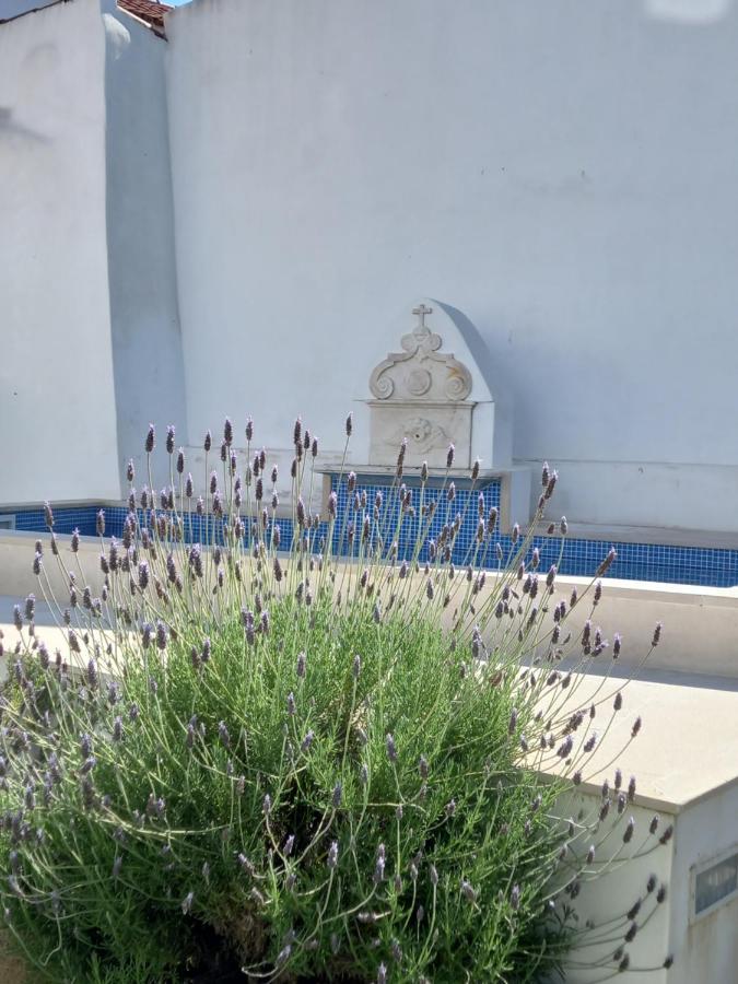 شقة Pateo Dos Oliveira - Casa Da Cocheira ايفورا المظهر الخارجي الصورة
